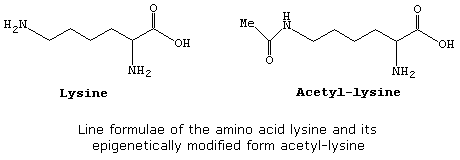 Line formulae of lysine and acetyl-lysine
