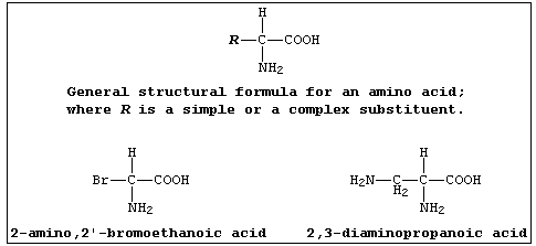 General structural formula for an amino acid and two exemplars