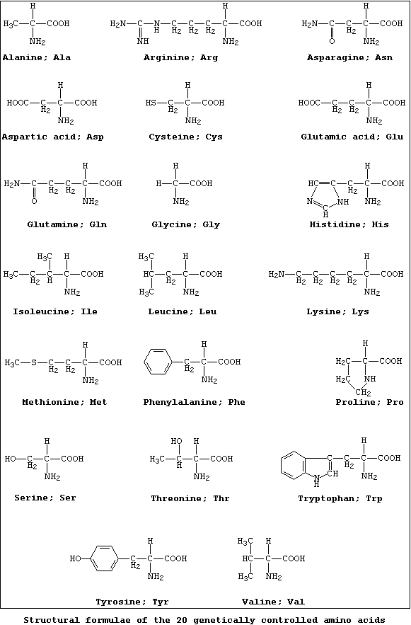Reference Sheet 1 [structural formulae of the 20 genetically controlled amino acids]