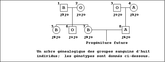 Family tree showing blood groups of 8 individuals