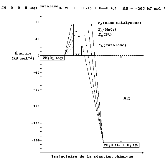 A summary of the decomposition of hydrogen peroxide [Fr.]